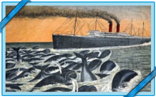 L’ATTAQUE DES BALEINES FRANCHES