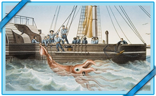 THE GIANT SQUID CAUGHT BY THE <em>ALECTON</em>