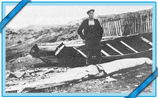 The giant squid from Newfoundland