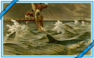 REQUIN MANGEUR D'HOMME