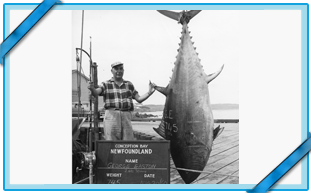 PÊCHEUR SPORTIF ET SA PRISE