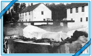 CARCASSE DE NADEN HARBOUR